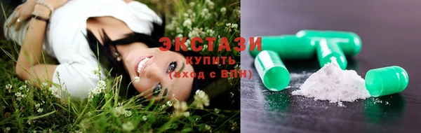 ешки Инта