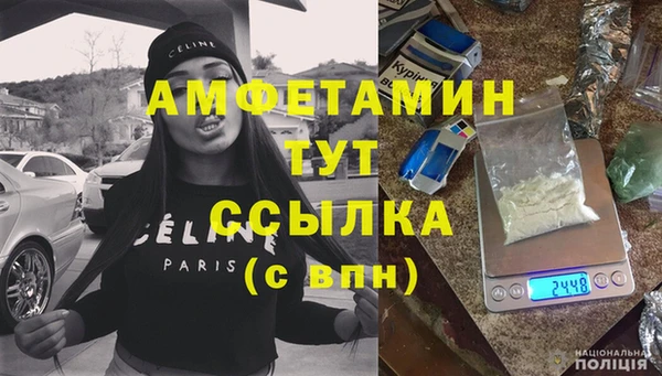 мет Инсар