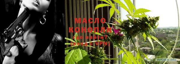 ешки Инта