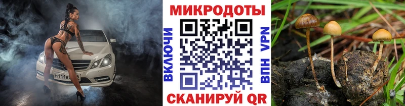 Галлюциногенные грибы ЛСД  Купить где  Когалым 